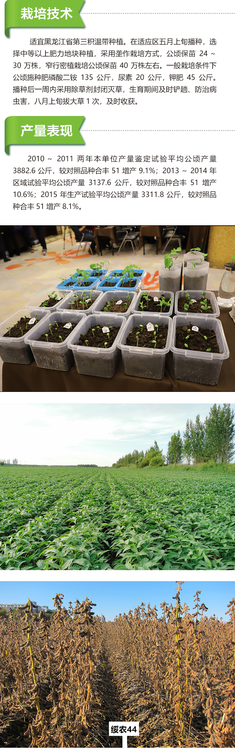 綏農(nóng)44產(chǎn)品詳情_02.jpg