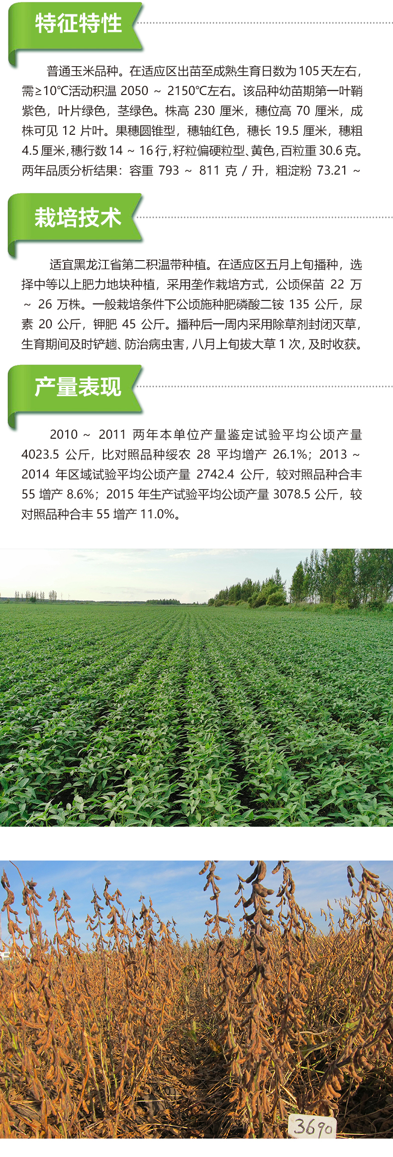 1590126729998670.jpg 綏農(nóng)42產(chǎn)品詳情_02.jpg